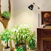 KTMBDW Grow Lights for Indoor Plants,Full Spectrum Grow Light with 20W COB Grow Light Blub and 4/8/12H Timer, Plant Light for Indoor Plants, Black - 4 of 4