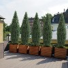 Acekool 5ft Topiary Pair - Realistic Cedar Look for Indoor & Outdoor - 4 of 4