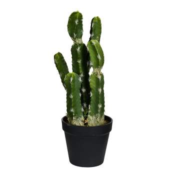 Vickerman Artificial Potted Cereus Cactus