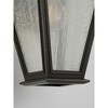 Progress Lighting Cardiff 1-Light Wall Lantern in Black, Clear Seeded Glass, DURASHIELD Finish - 4 of 4