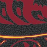 minnesota golden gophers