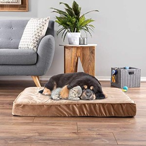 Dog Bed with Removable Cover - 37x24 Pet Bed - 4-Inch Egg Crate Style Memory Foam Orthopedic Dog Mattress and Non-Slip Crate Bed (Tan) - 1 of 1