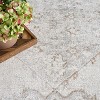Nourison Washable Astra Vintage Persian Indoor Flatweave Area Rug - 3 of 4