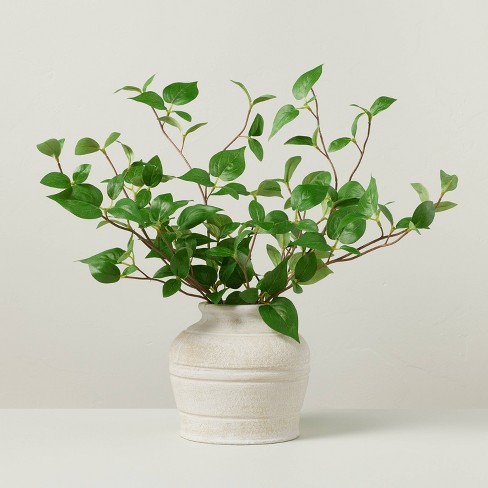 artificial plant pot filler using cardboard｜TikTok Search