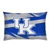 NCAA Kentucky Wildcats Slanted Stripe Twin Bedding Set in a Bag - 4pc - 3 of 3