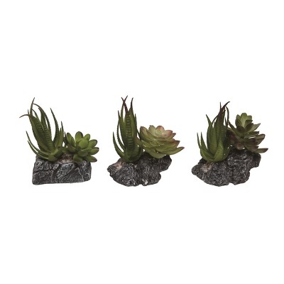 Transpac Plastic/Resin Succulent w/Planter Set of 3 Spring Home Decorations