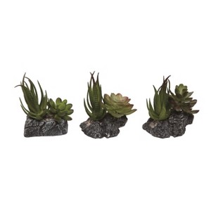 Transpac Plastic/Resin Succulent w/Planter Set of 3 Spring Home Decorations - 1 of 1