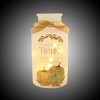 Stony Creek 7.0 Inch Beautiful Bounty Pre-Lit Sm Jar Autumn Thanksgiving Novelty Sculpture Lights - 2 of 3