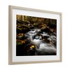 Stupell Industries Fallen Leaves on Stream Framed Print Under Glass - 2 of 4