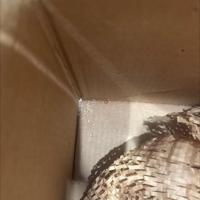 Guest review image 1 of 3, zoom in