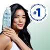 Head & Shoulders Bare Anti Dandruff Soothing Hydration Shampoo, Sulfate Free - 13.5 fl oz - image 3 of 4