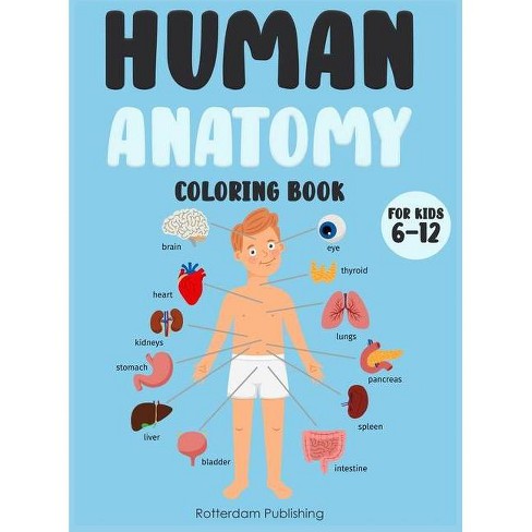 Download Human Anatomy Coloring Book For Kids 6 12 By Rotterdam Publishing Hardcover Target