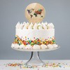 Colorful Rainbow Map Of The World Earth Globe Acrylic Cake Topper - 4 of 4