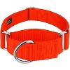 Country Brook Petz HossFit Jr Wide Martingale Dog Collar - Training Collar with No Buckle - Vibrant, Colorful Collection - 2 of 4