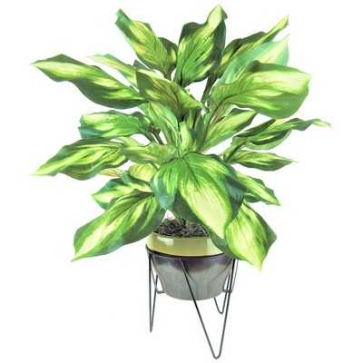 28" x 22" Artificial Hosta in Ceramic Pot with Stand - LCG Florals