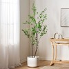 XINGHANZHENXUAN Artificial Disc Leaf Tree, Pre-Potted Faux Enkianthus Plant with Lifelike Foliage, Low-Maintenance Greenery for Home & Office - 2 of 4