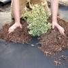 DeWitt Weed Barrier Pro 3-Ounce Commercial and Home Garden Landscape Weed Block Barrier Heavy-Duty Non-Woven Ground Cover Fabric, Black - 3 of 4