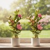 Orieon 2 Pack 21.6" Artificial Rose Plant in Pot, Faux Flowers, Lifelike Indoor D¨¦cor for Home, Office, Wedding & Events - 2 of 4