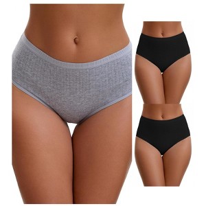 INSPIRE CHIC Women's Cotton High Waist Briefs Breathable Underwear, Available in Plus Size 3 Packs - 1 of 4