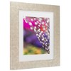 Trademark Fine Art - Jenny Rainbow Fine Art Spring Willow Branch Matted Framed Art - 3 of 4