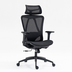 Ergonomic Mesh Office Chair with Adjustable Arms Lumbar Support High Back for Home Office or Workspace -3irtyhousy - 1 of 4