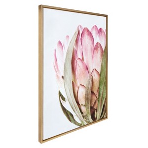 Kate and Laurel Sylvie Pink Protea Flower Framed Canvas by Amy Peterson - 1 of 4