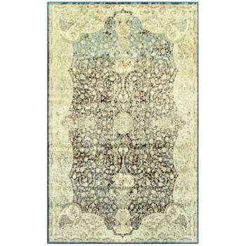 Modern Traditional Transitional Contemporary Ornamental Paisley Floral Medallion Botanical Border Indoor Area Rug by Blue Nile Mills