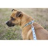 Country Brook Petz Deluxe Dog Collar - Critter Corner Collection - Made In The U.S.A. - 2 of 4
