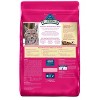 Blue Buffalo Wilderness Grain Free with Salmon Adult Premium Dry Cat Food - 11lbs - 2 of 4