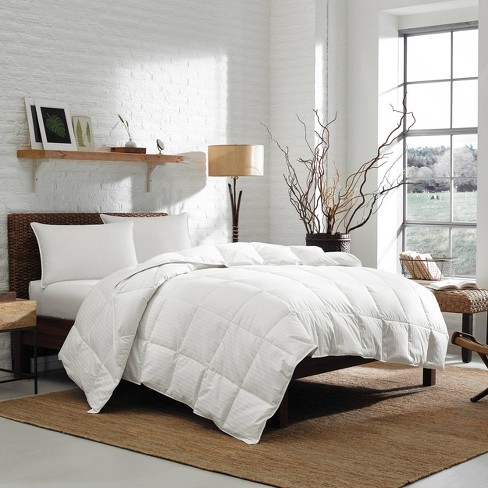 350 Thread Count Lightweight Down Comforter - Eddie Bauer : Target