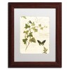 Trademark Fine Art-Lisa Audit 'Ivies and Ferns IV' Floating Brushed Aluminum Art - 2 of 4