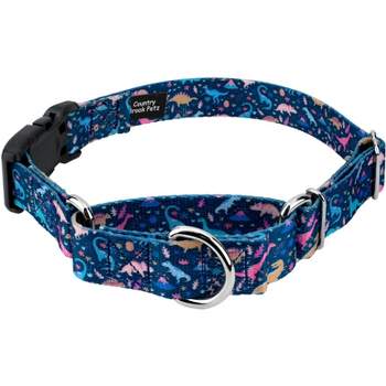 Country Brook Petz Dinosaurs Martingale Dog Collar with Deluxe Buckle