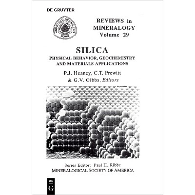 Silica - (Reviews in Mineralogy & Geochemistry) by  Peter J Heaney & Charles T Prewitt & Gerald V Gibbs (Paperback)