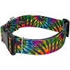 Country Brook Petz HossFit Jr Wide Deluxe Dog Collar - Groovy Collection - 3 of 4
