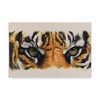 Trademark Fine Art -Barbara Keith 'Eye Catching Tiger' Canvas Art - 2 of 3