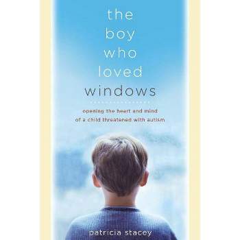 The Boy Who Loved Windows - by  Patricia Stacey (Paperback)
