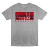 MLB Los Angeles Angels Toddler Boys' 2pk Gray T-Shirt - 2 of 3