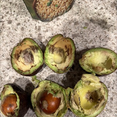 Guest review image 1 of 1, zoom in