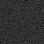 naval academy midshipmen