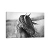 iCanvas Fierce Grace by Tony Stromberg Canvas Print Wall Art - 2 of 3
