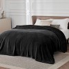 Cozy Comfort by Bedsure | Flannel Blanket Solid 260GSM Soft Fuzzy Plush Bed Blanket - 2 of 4