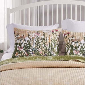 Greenland Home Fashions 2006BKS Dandelion Taupe King Pillow Shams, 20x36 Inches - 1 of 3