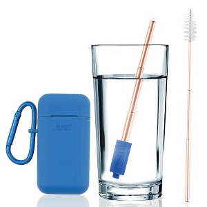 Reusable Stainless Steel Filtering Straw Collapsible With Carry Case and Brush - 1 of 4