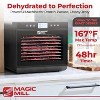 Magic Mill Premium Food Dehydrator, 10 XL Stainless Steel Trays, 700W, 48-Hour Timer - 4 of 4