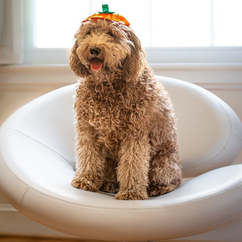 Midlee Dog Pumpkin Headband Halloween Costume, 2 of 10
