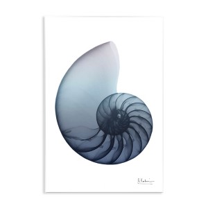 Stupell Industries Contemporary Nautilus Shell, 13" x 19" - 1 of 4