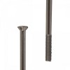 Dt Swiss Champion Straight Pull Straight Pull 2.0 (14G) 260mm Silver - 2 of 2