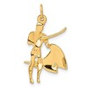Black Bow Jewelry 14k Yellow Gold Matador Charm - 3 of 4