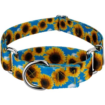 Country Brook Petz Sunflowers Martingale Dog Collar