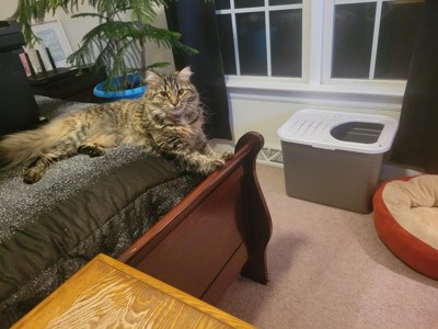 Guest review image 2 of 2, zoom in